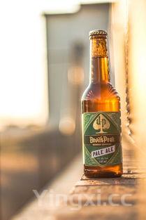 金酱酒15怎么样，金酱酒v15市场价是多少