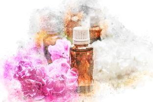 葡萄酒为什么有的很贵有的很便宜,葡萄酒品种为什么重要