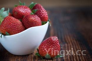 梦果酌哪个味道好,梦果啤酒介绍