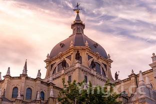 为什么南非也叫拉菲，南非拉菲由来