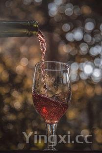 力多红酒价格及图片，力多红酒杯为什么贵