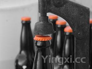 为什么精酿啤酒要烫一下,精酿啤酒为什么要迅速降温