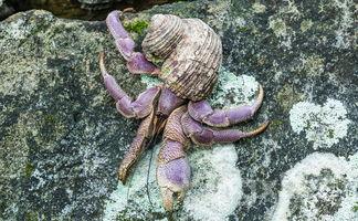 海鲜名称大全图片，海鲜名称大全图片图库