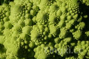 女生为什么少吃西兰花，女生吃西兰花的坏处