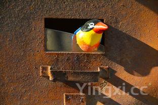 泥巴土坛酒多少钱一箱，泥巴土坛怎么开