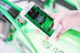 崂山啤酒如何扫码，崂山啤酒扫码扫不出来