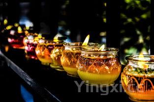 茅台悠蜜酒多少钱一瓶，茅台悠蜜酒哪里有卖