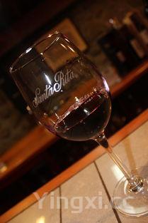 自制红葡萄酒酿制方法,自做红葡萄酒