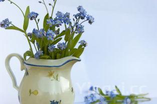 现代装酒的容器都有哪些品牌，现代装酒的容器都有哪些