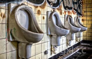 京都小圣坛怎么样值得去吗,京都小圣坛怎么样