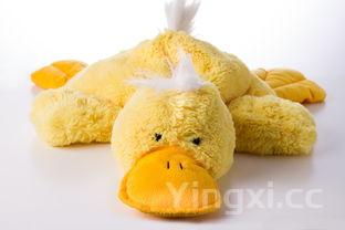 燕麦片怎么吃不升血糖，燕麦片怎么吃不升血糖?