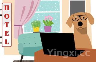 豆腐怎么做出来的简笔画,豆腐怎么做出来的