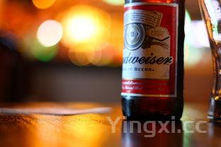 冰锐酒精度多少,冰锐和啤酒哪个容易醉