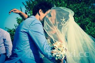 两款文君凤求凰哪个更好，文君凤求凰哪个度数好喝