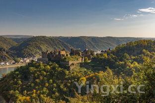 河北昌黎葡萄酒产区,为什么河北昌黎葡萄酒好