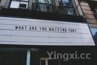 天津津酒价格及图片，天津津酒集团官网