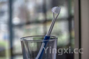 五谷豆浆5种最佳配方，五谷豆浆的正确配方