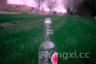 为什么酒瓶是绿的,酒为什么绿瓶的的不好