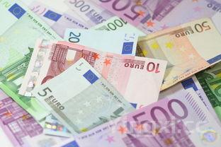 如何鉴别金尖庄珍品,金尖庄52度浓香型多少钱一箱