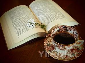 二个字的白酒,两个字的白酒有哪些