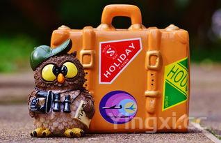 为什么白酒条形码扫不出来，为什么白酒条形码扫不出来呢