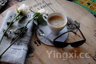 免费学做菜视频，免费学做菜视频教程全集