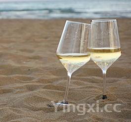 蜂鸣红酒如何保存,蜂鸣红酒如何