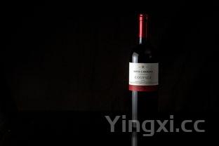 红酒和葡萄酒啥区别,葡萄酒跟红酒哪个好喝