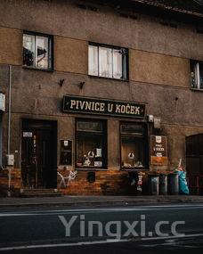 韩式炸鸡加盟店十大排行榜,韩式炸鸡加盟店十大排行榜图片