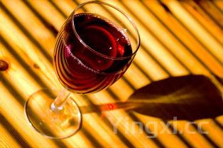 红酒品酒师培训机构，哪里有培训红酒品鉴师