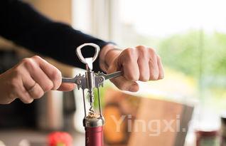 红酒怎么起塞子,红酒塞子怎么起开