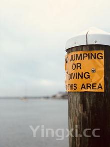 泰谷啤酒哪里加工的,泰谷啤酒哪里加工的好