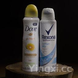 茅型瓶图片,茅形酒有哪些