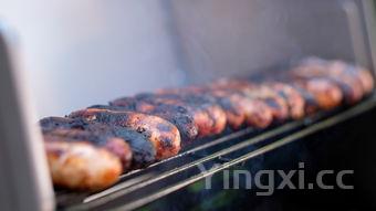 烧烤图片大全高清图片无水印，烧烤100张图片