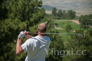 高尔夫酒的特点,高尔夫酒有哪些