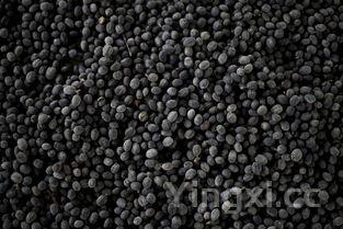 醋泡黑豆的制作过程图片,醋泡黑豆的制作过程