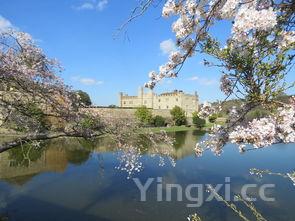 玛纳斯红酒有哪些，玛纳斯红酒公园图片