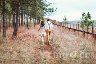 葡萄怎么带上火车，葡萄如何携带