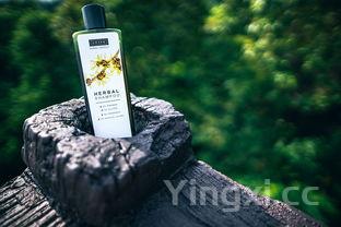 62度景阳春怎么样,31度景阳春4瓶