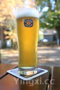 白熊啤酒属于什么类型啤酒，白熊啤酒产地哪个国家