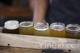 白熊啤酒属于什么类型啤酒,白熊啤酒产地哪个国家