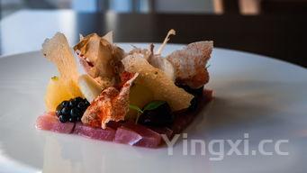 炸猪肉丸子的配料及做法，炸猪肉丸子的做法配方300