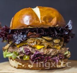 炸猪肉丸子的配料及做法,炸猪肉丸子的做法配方300