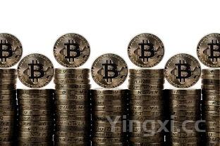 白金酒如何营销,白金酒如何营销产品