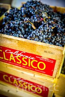 包谷烧酒怎么开瓶,包谷酒怎么发酵才香