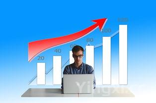 酒业公司未来发展,酒业团队如何发展