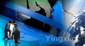 风暴酿酒师怎么获得,魔兽世界风暴酿酒厂