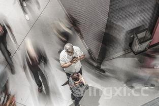 风暴酿酒师怎么获得,魔兽世界风暴酿酒厂