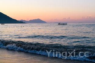 泰山日出洒，泰山日出酒怎么开