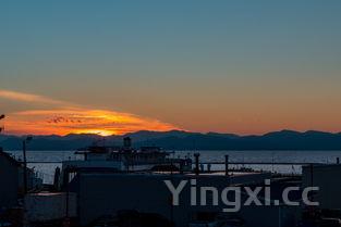 泰山日出洒,泰山日出酒怎么开